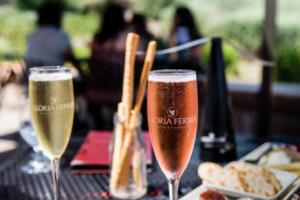 欧洲篮球联赛巴塞罗那，一场跨越文化的体育盛宴欧洲篮球联赛巴塞罗那