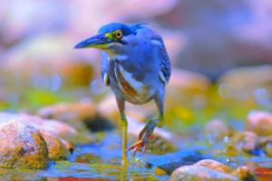 欧洲篮球联赛,皇马绝杀再创经典,书写传奇篇章欧洲篮球联赛皇马绝杀