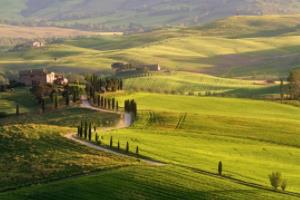 幕后英雄,欧洲篮球联赛中不可或缺的球员与教练欧洲篮球联赛背后的人物